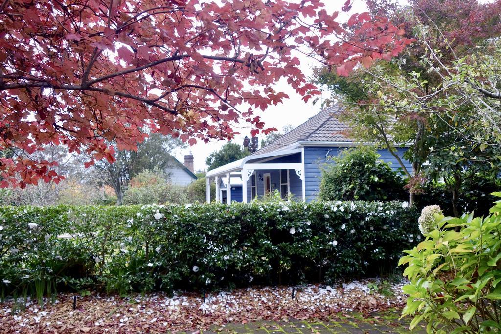 Poet'S Cottage - Fireplace, Close To Treks Wentworth Falls Exteriér fotografie