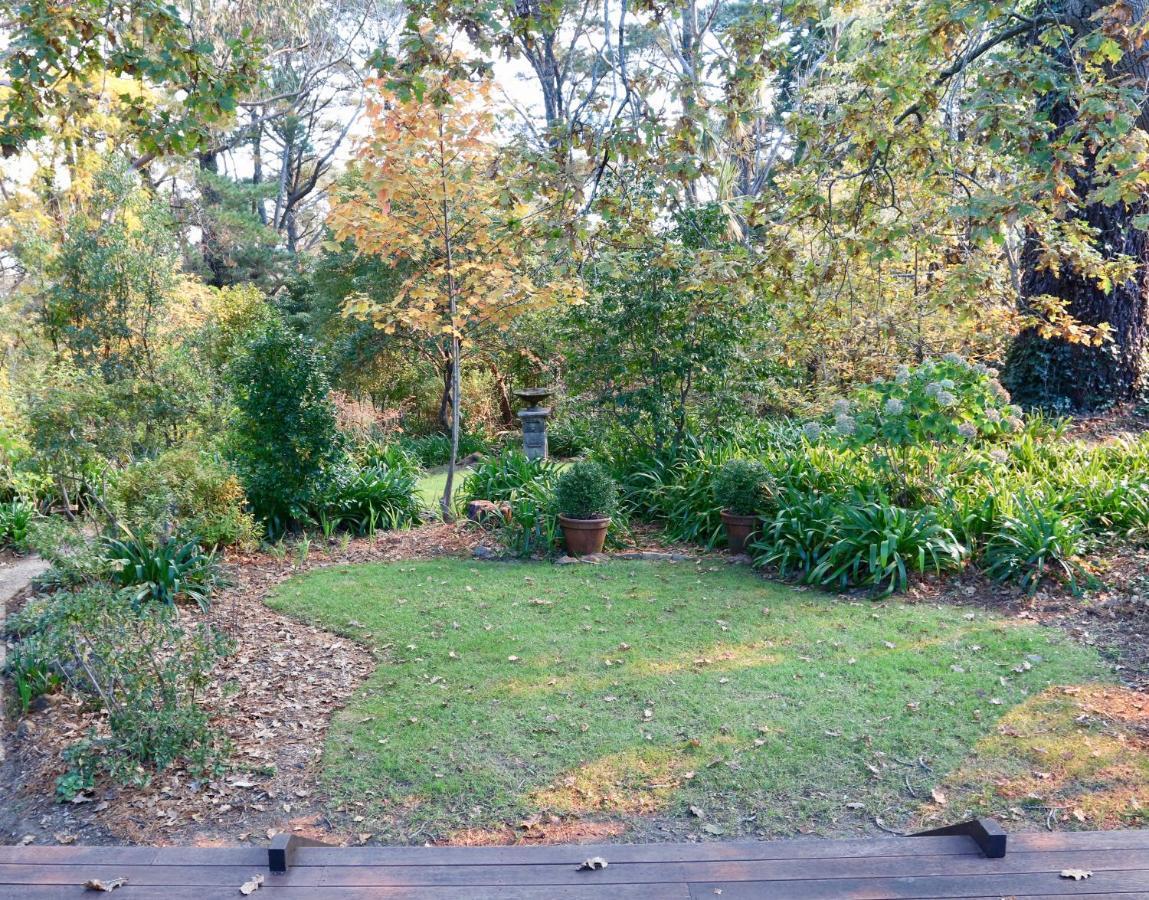 Poet'S Cottage - Fireplace, Close To Treks Wentworth Falls Exteriér fotografie